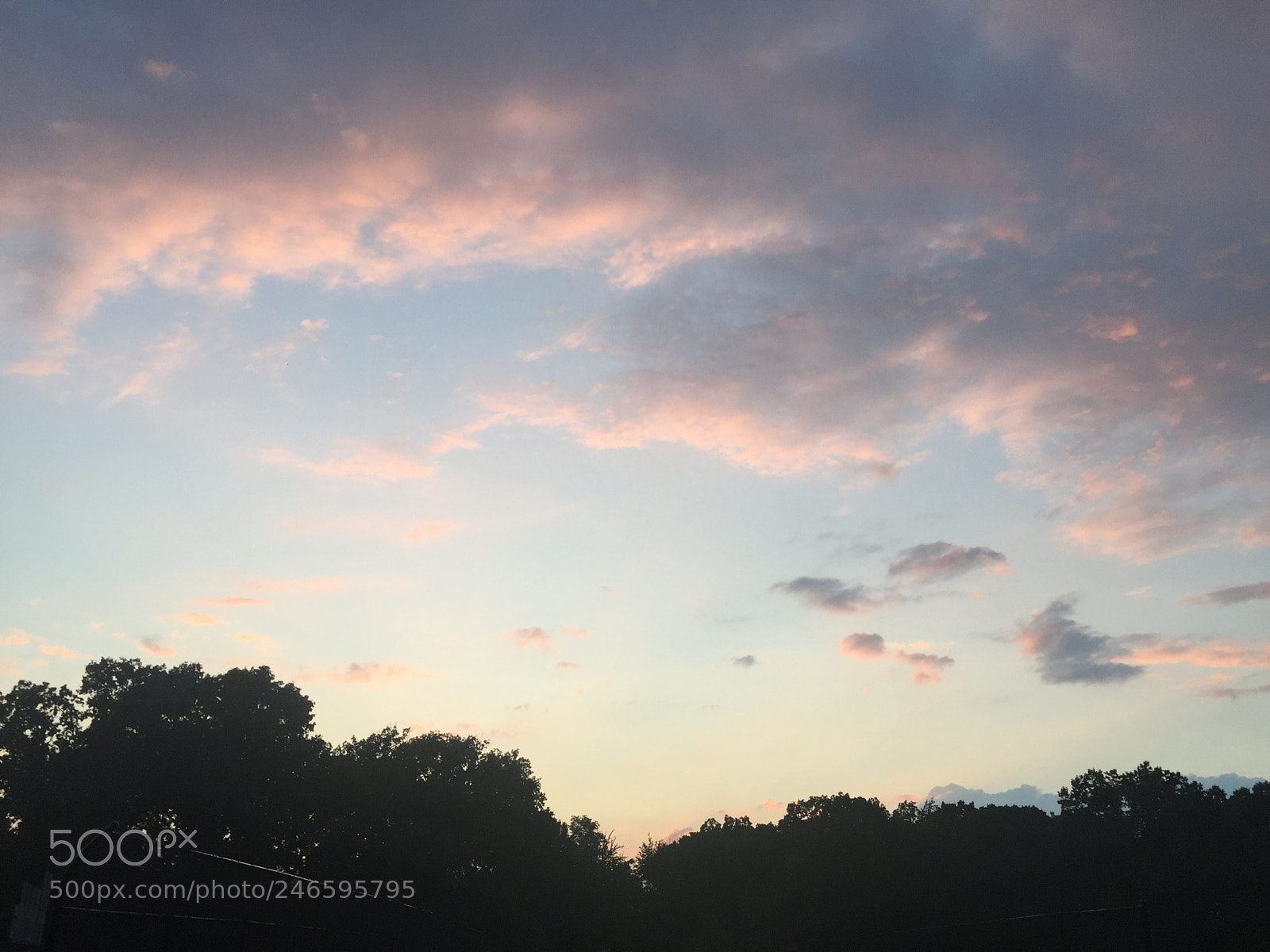 Apple iPhone 6 sample photo. Untitled photography
