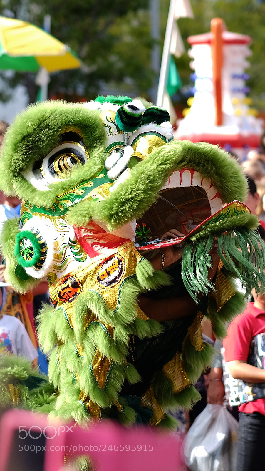 Fujifilm X-T1 sample photo. Green lion. photography