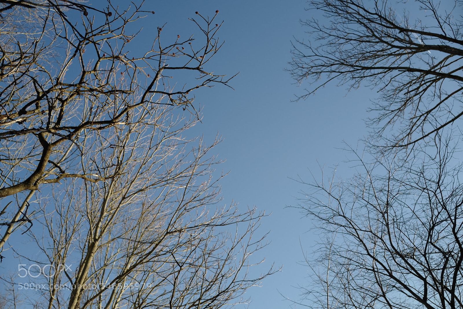 Leica Q (Typ 116) sample photo. L photography