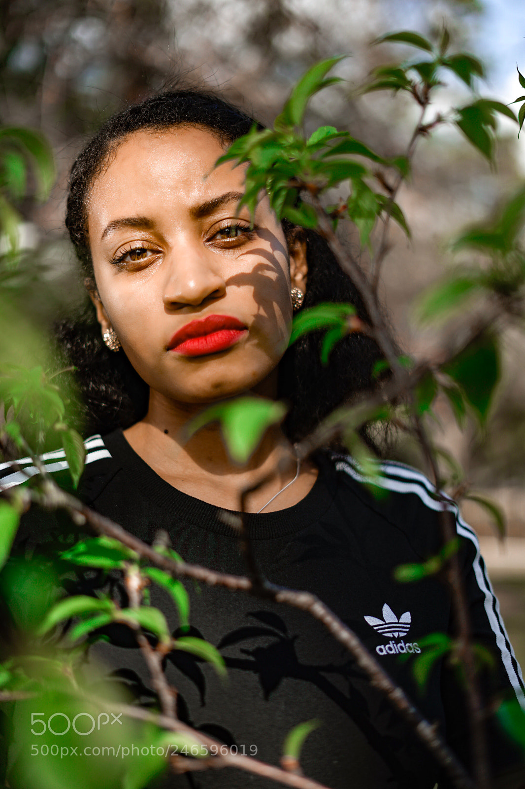 Sony a7 II sample photo. Eyes photography