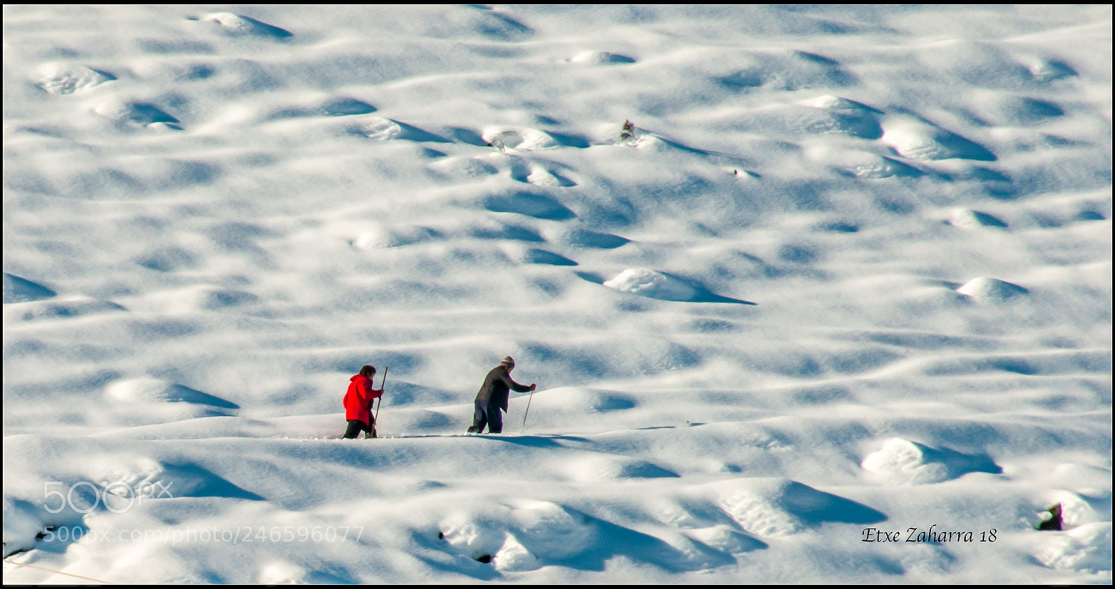 Nikon D300 sample photo. Con la nieve por photography