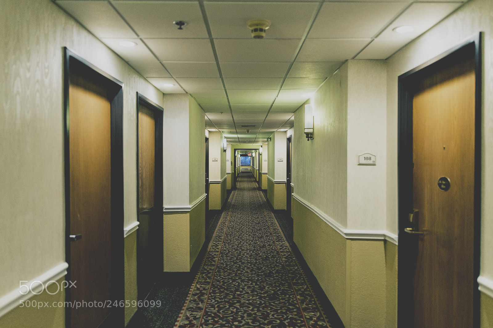 Nikon D810 sample photo. Hotel hall photography