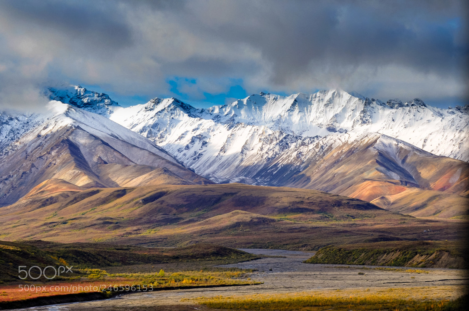 Nikon D90 sample photo. Denali photography