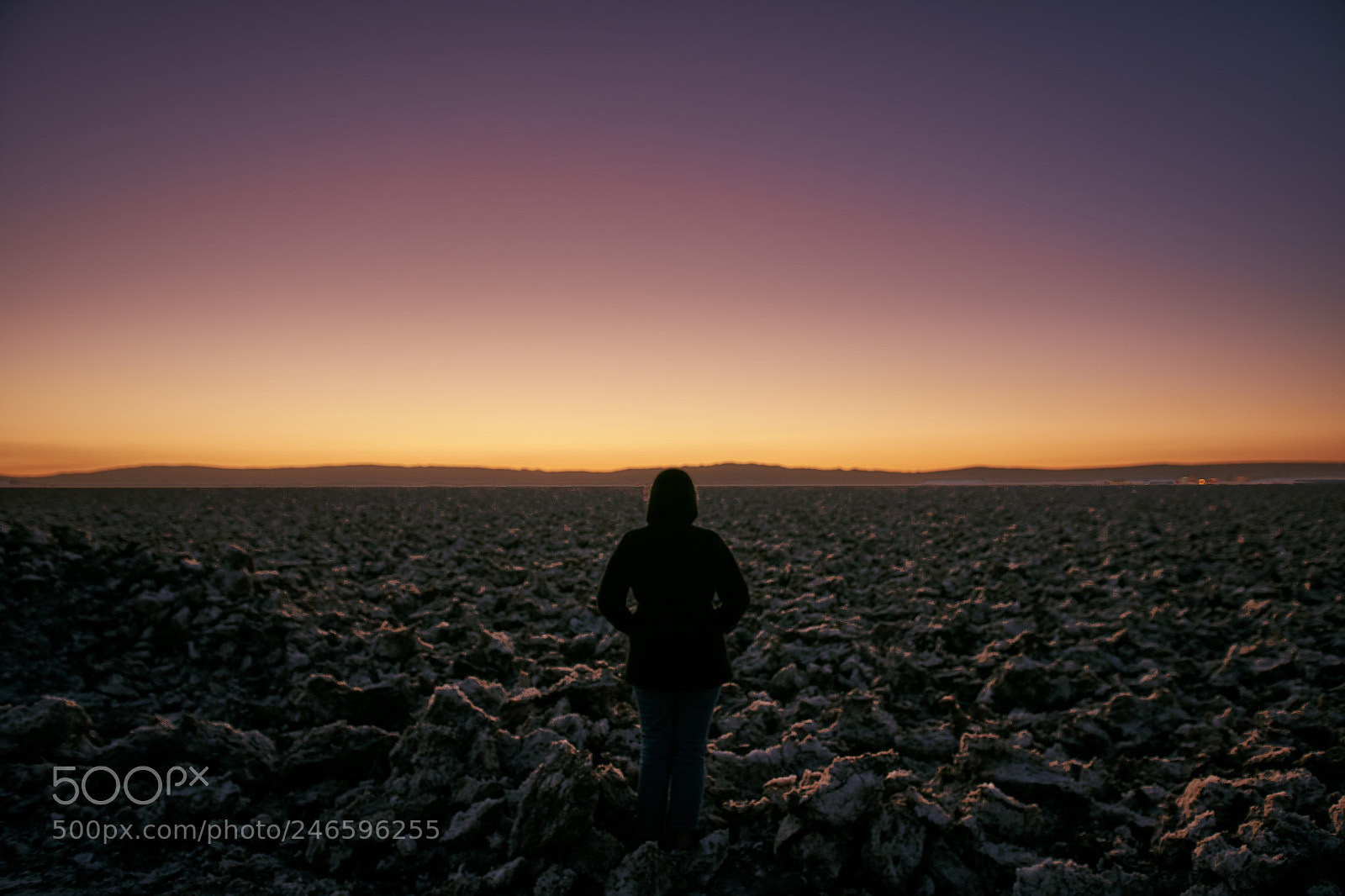 Sony a6500 sample photo. The lonely sunset photography
