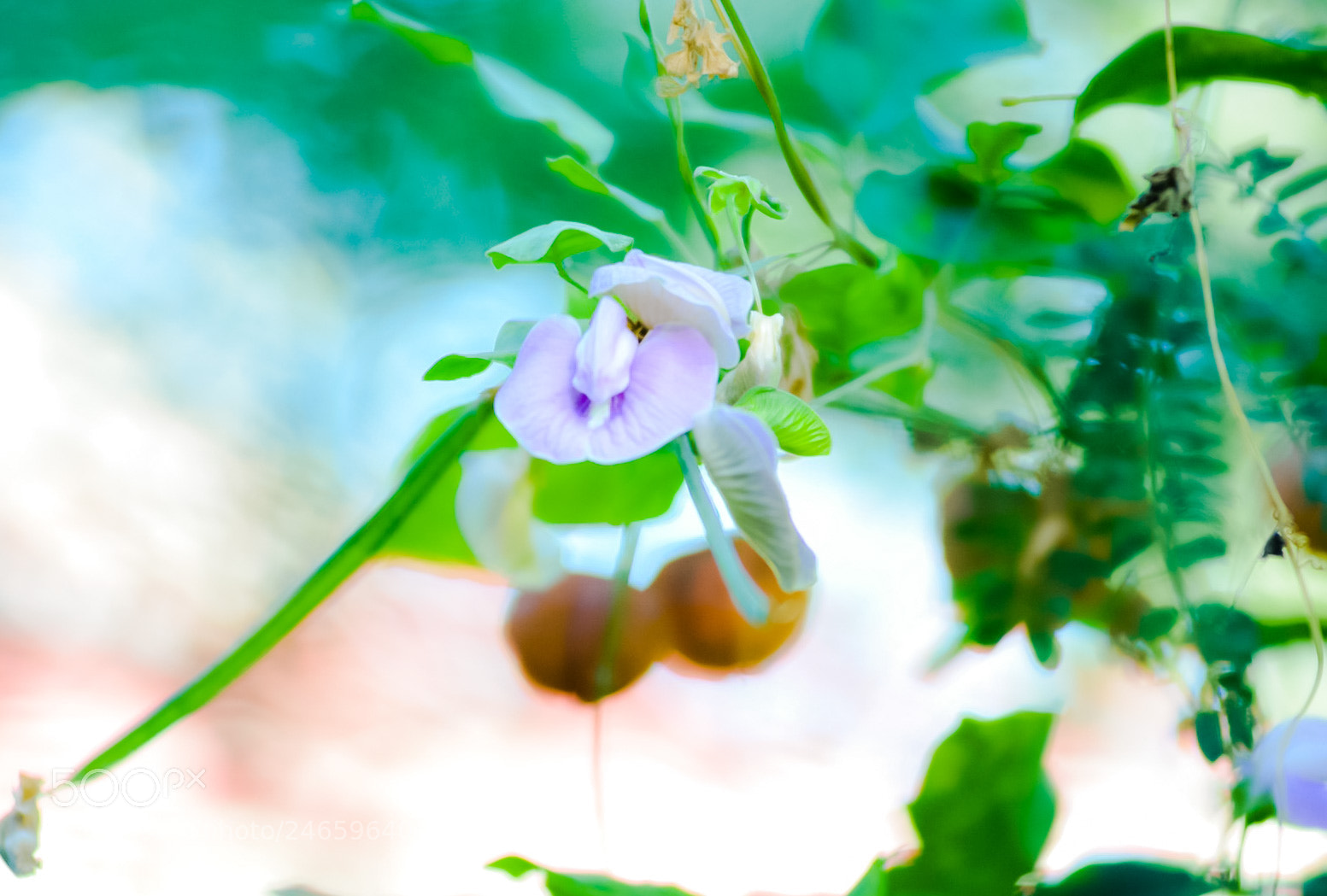 Nikon D7100 sample photo. Untitled photography