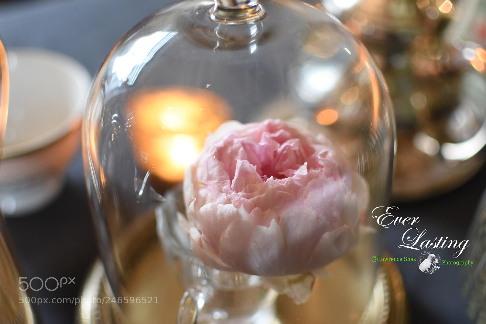 Nikon D7200 sample photo. Ever lasting... photography