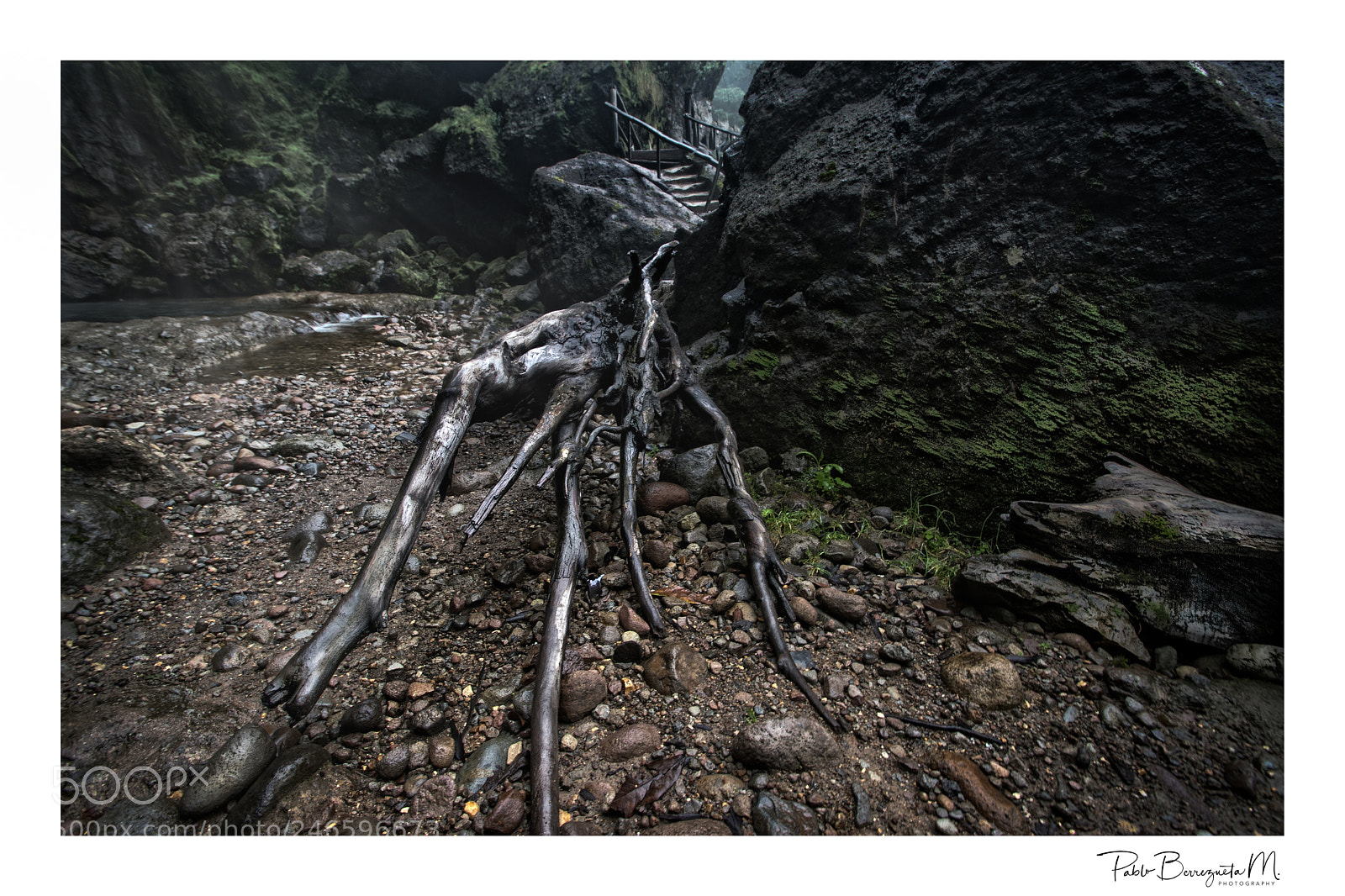 Sony ILCA-77M2 sample photo. Untitled photography