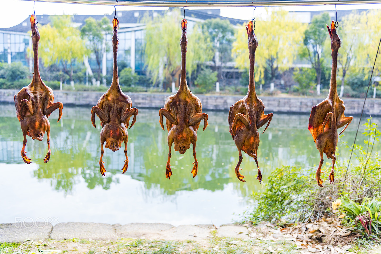 Nikon D810 sample photo. Duck in brown sauce photography