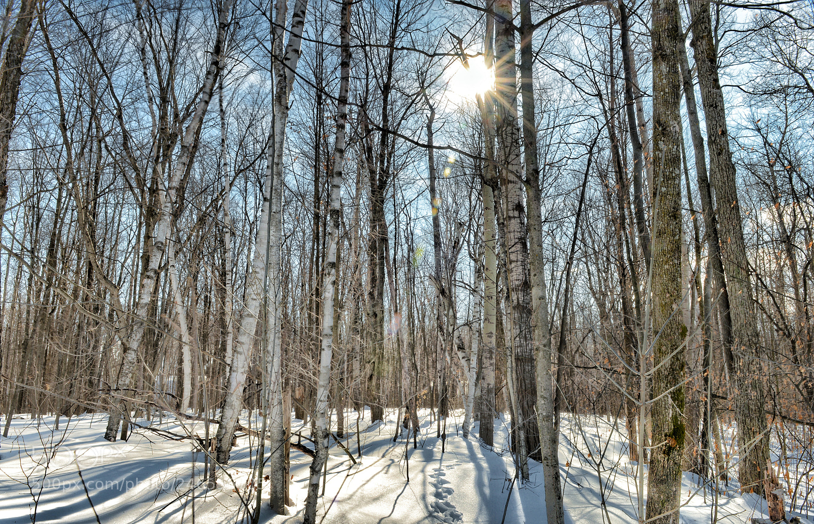 Nikon D610 sample photo. I shot the sun photography