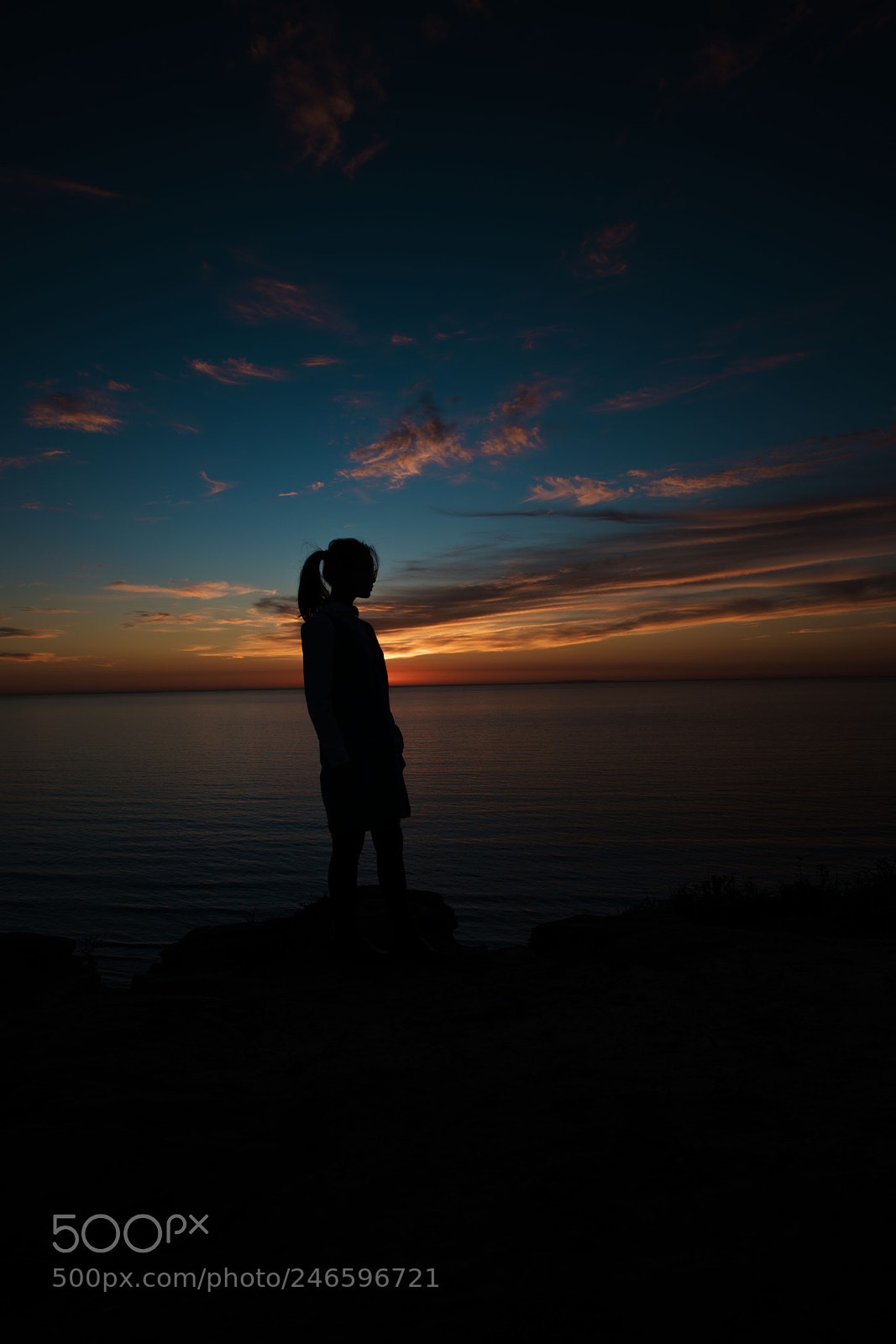 Sony a7R II sample photo. Dsc photography