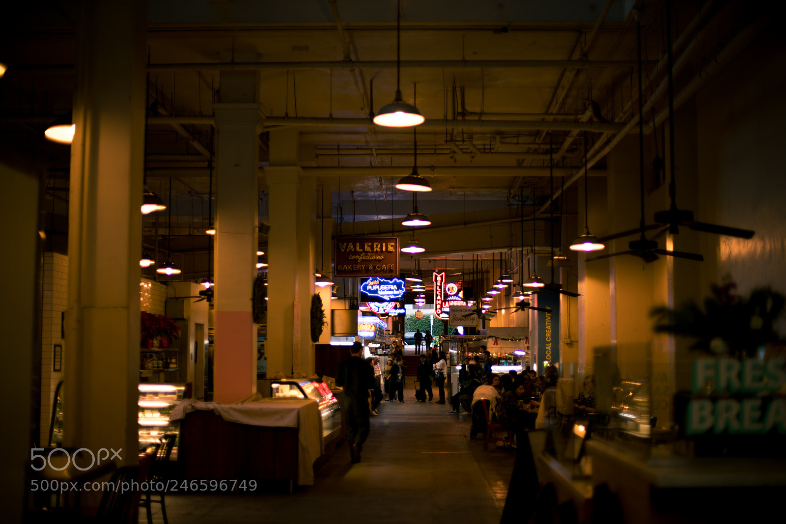 Sony a7R II sample photo. Dsc photography