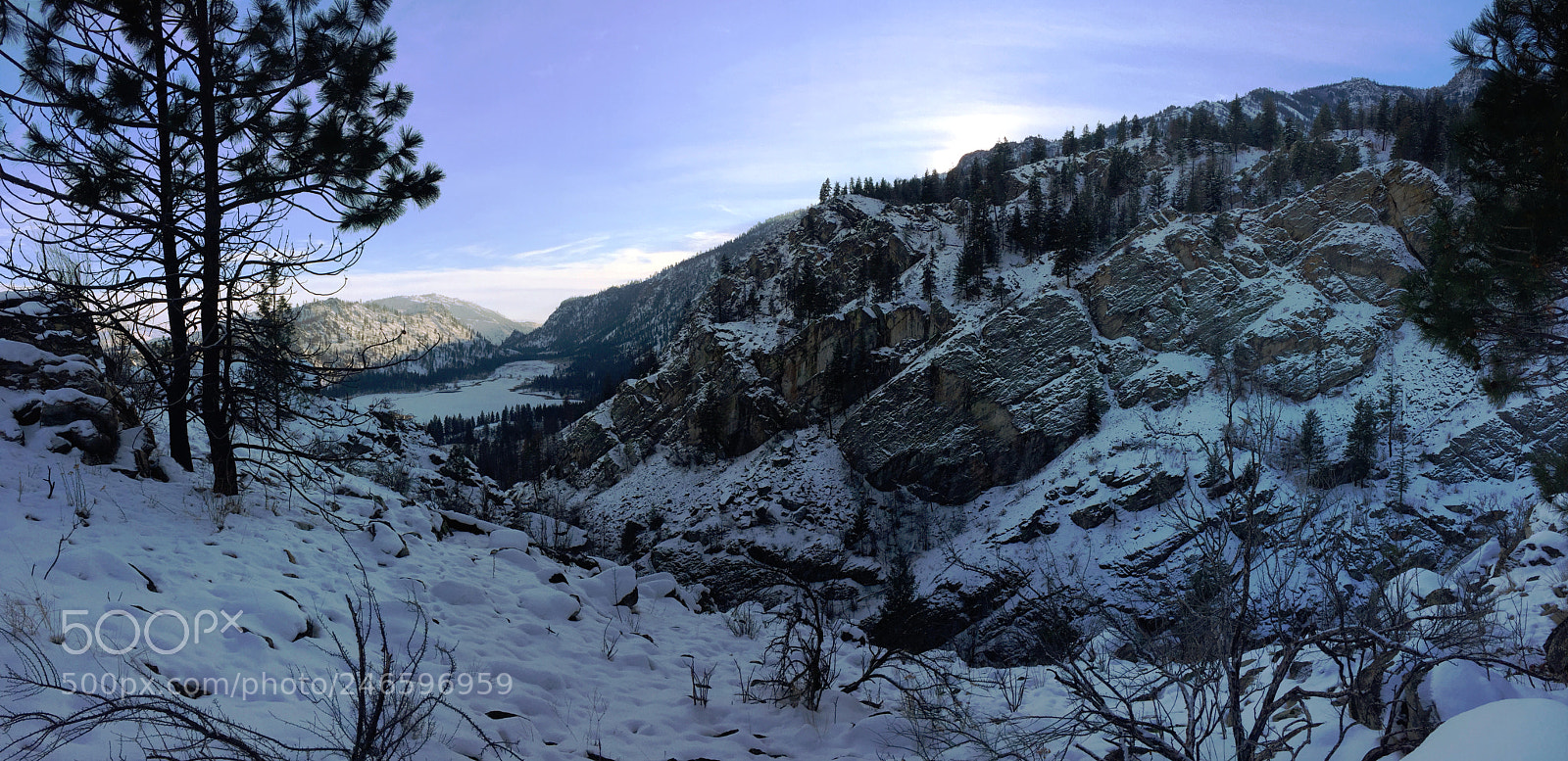 Apple iPhone 6 sample photo. Frozen treasure photography