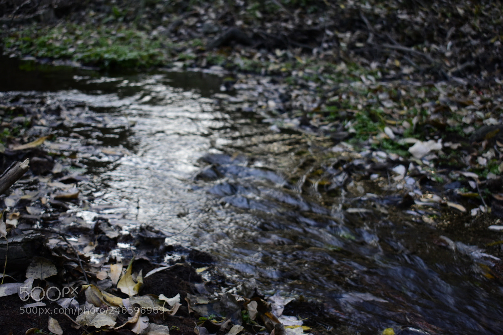 Nikon D3400 sample photo. Water flowing photography