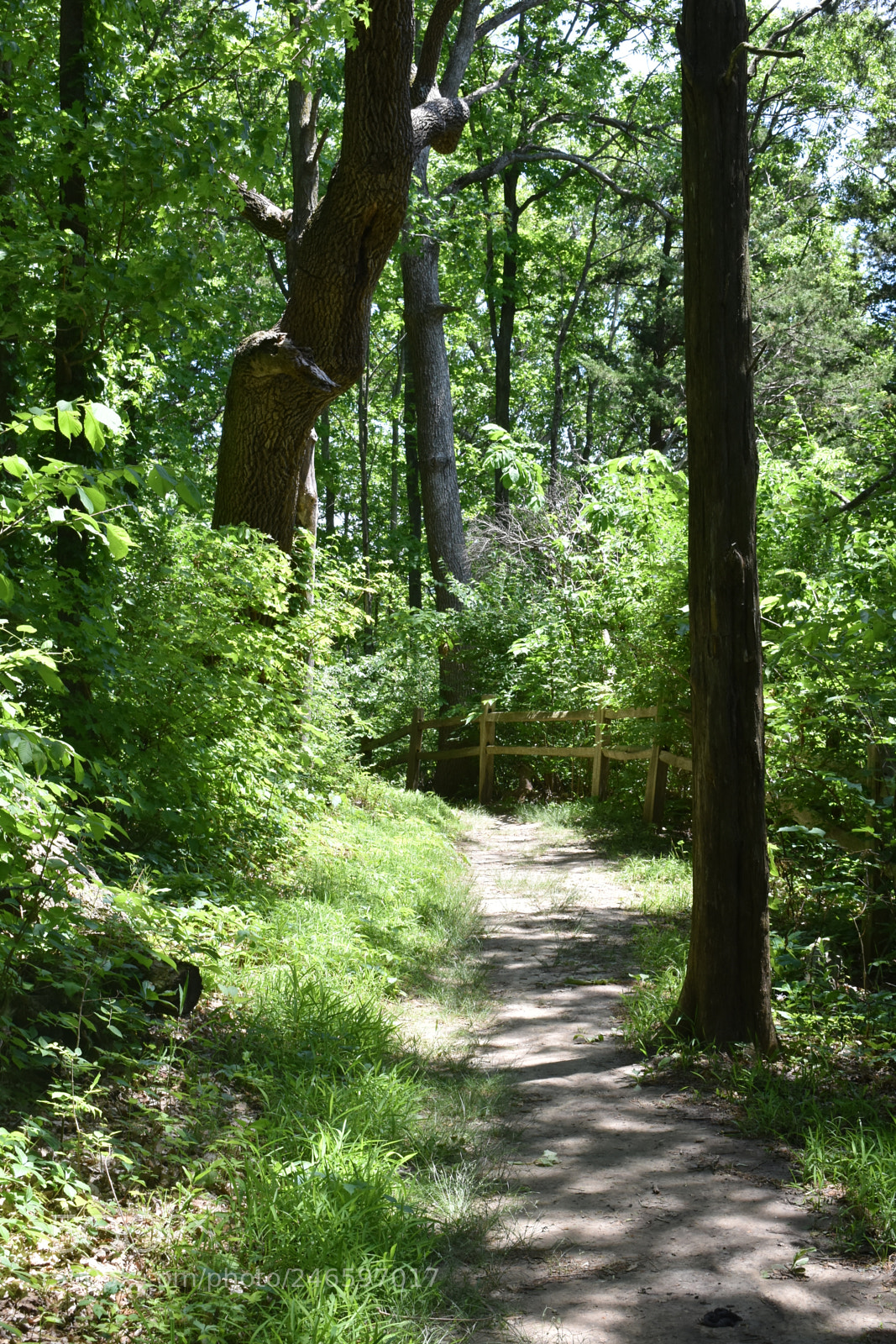 Nikon D3400 sample photo. Walking photography