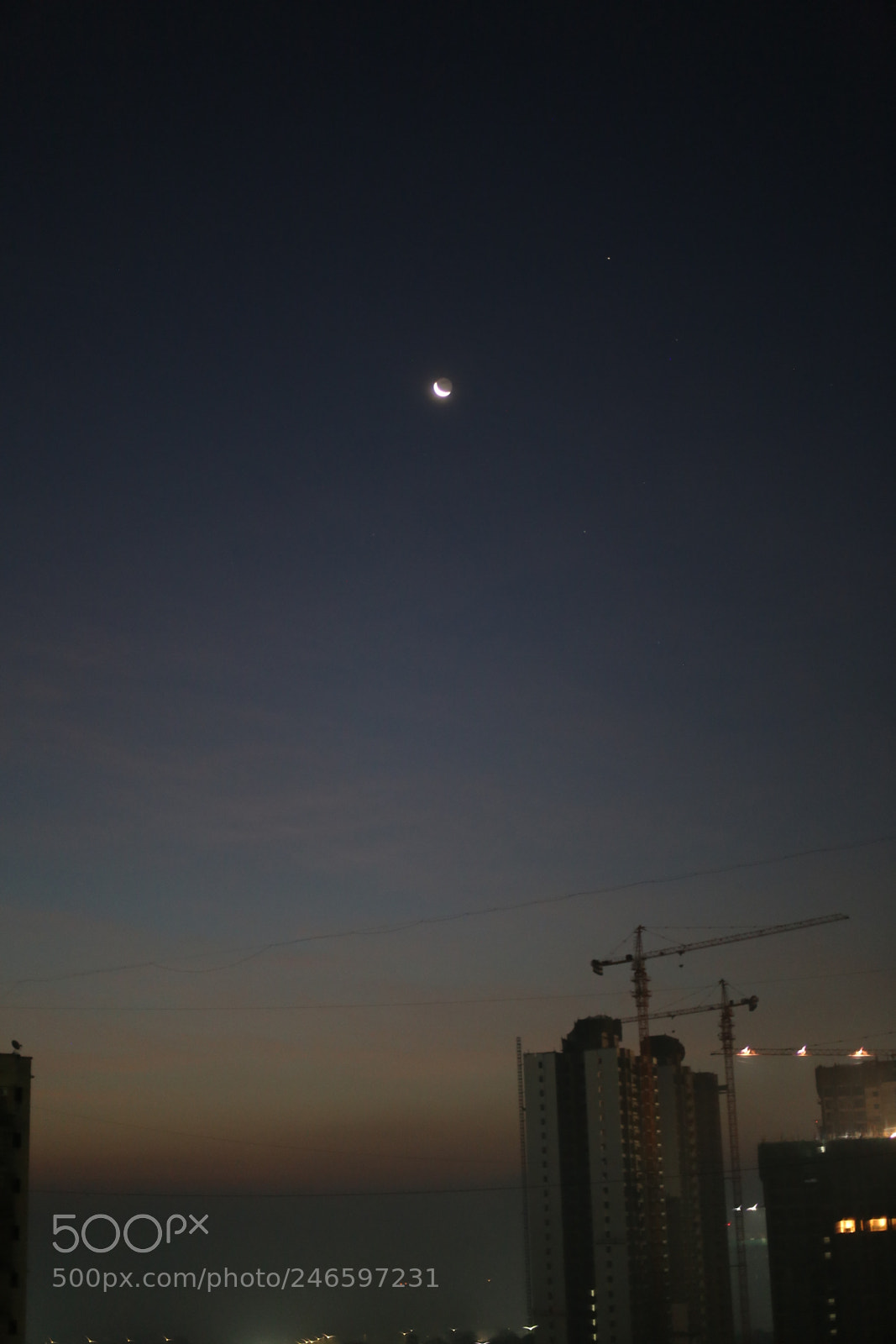 Canon EOS 6D + Canon EF 50mm F1.4 USM sample photo. Good morning... a new photography