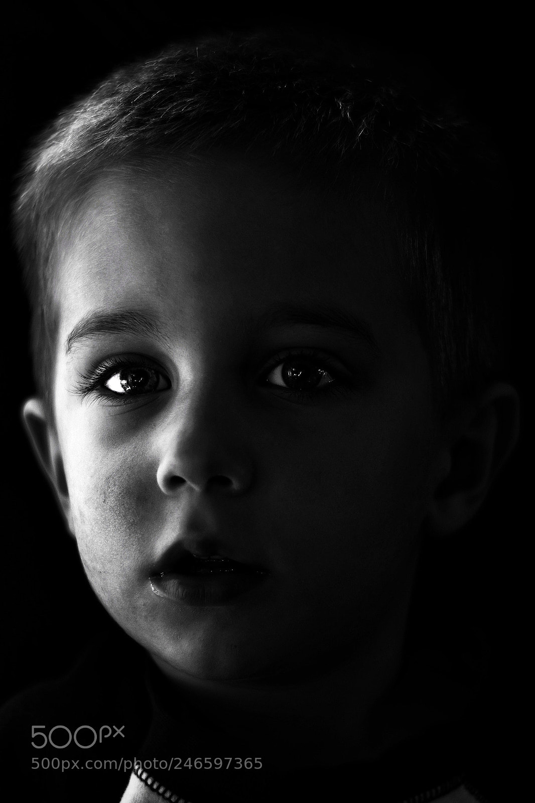 Nikon D5600 sample photo. Suspense photography