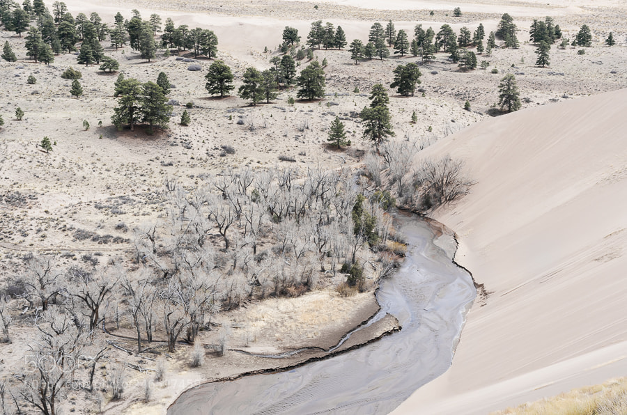 Pentax K-5 sample photo. Sandscape photography