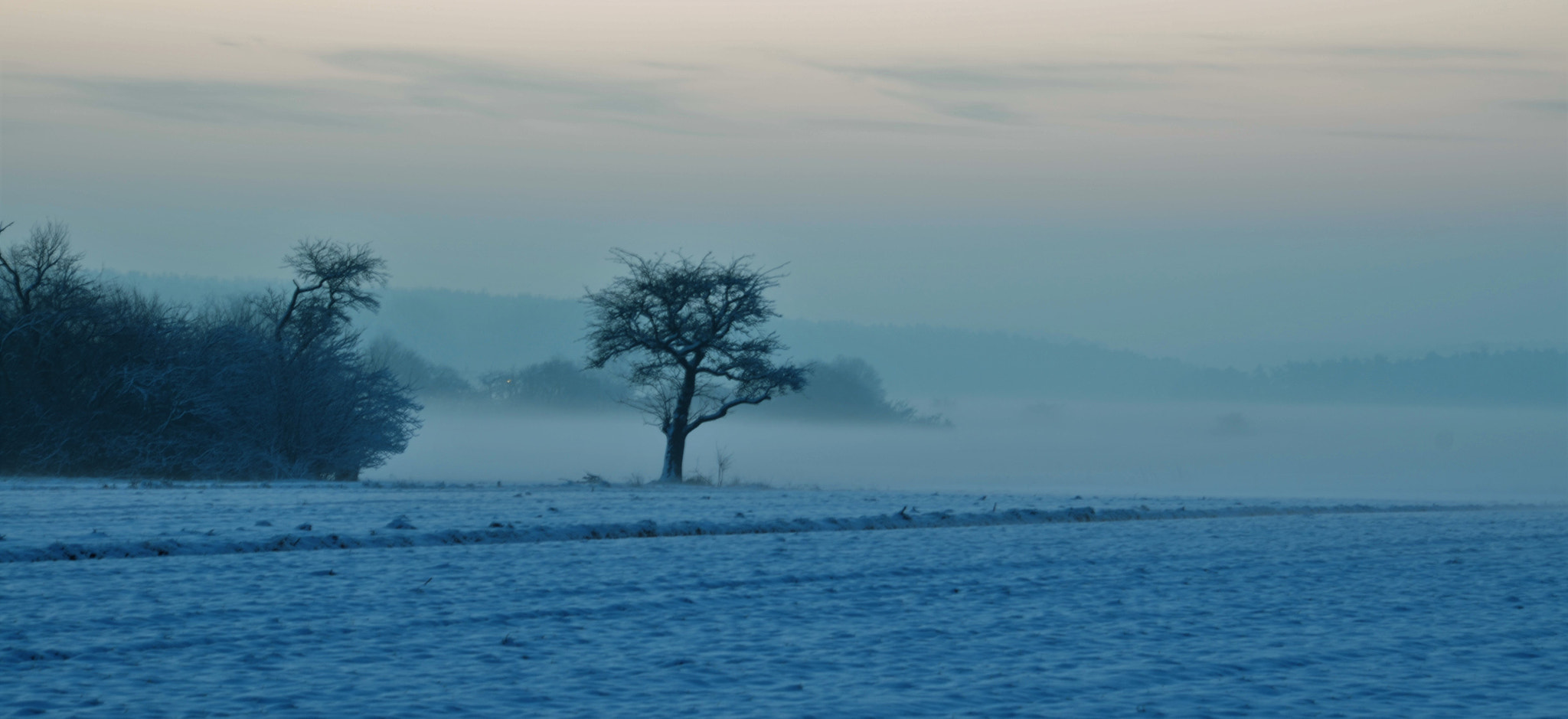 Nikon D5100 sample photo. Schnee photography