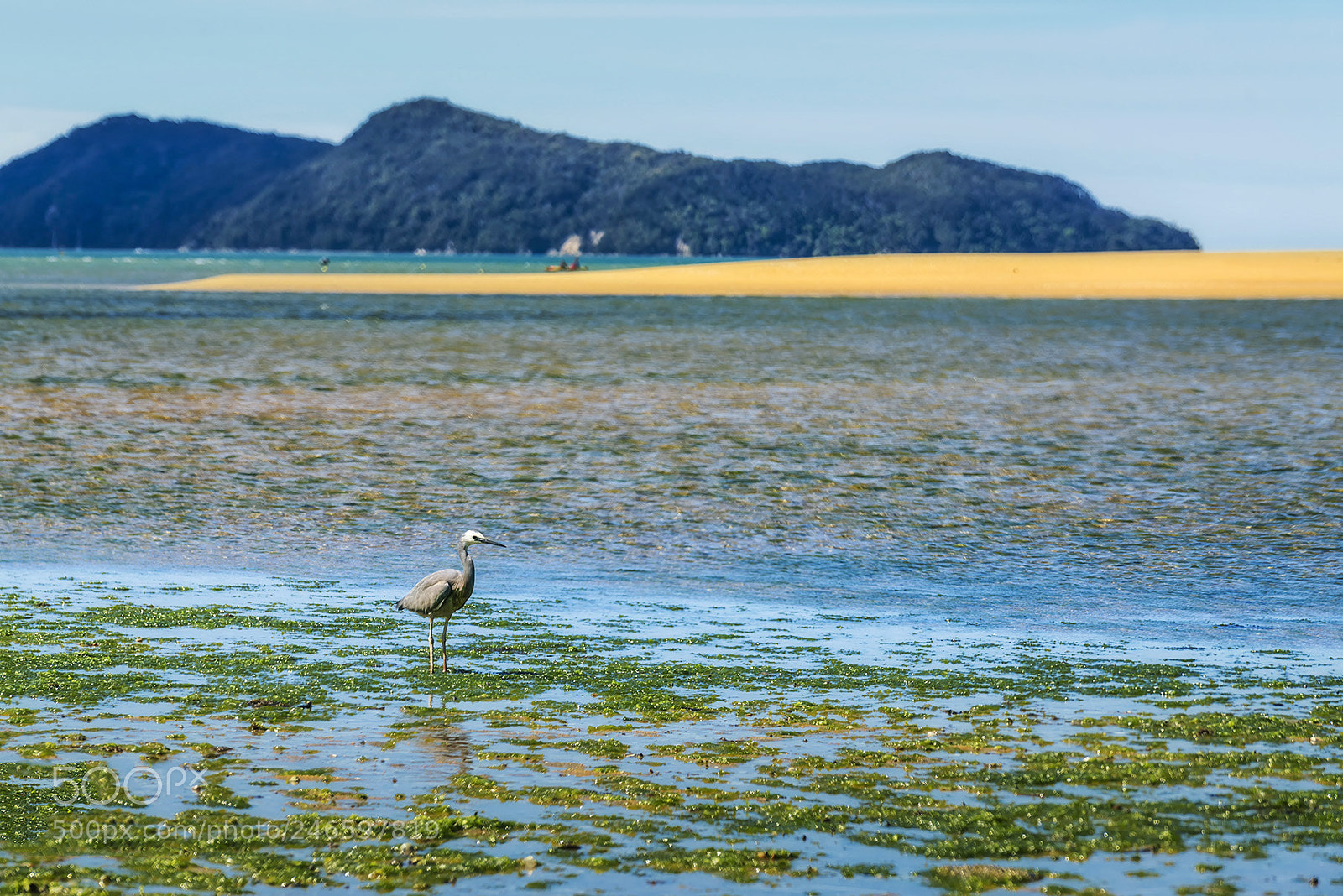 Sony a7R II sample photo. Beach photography