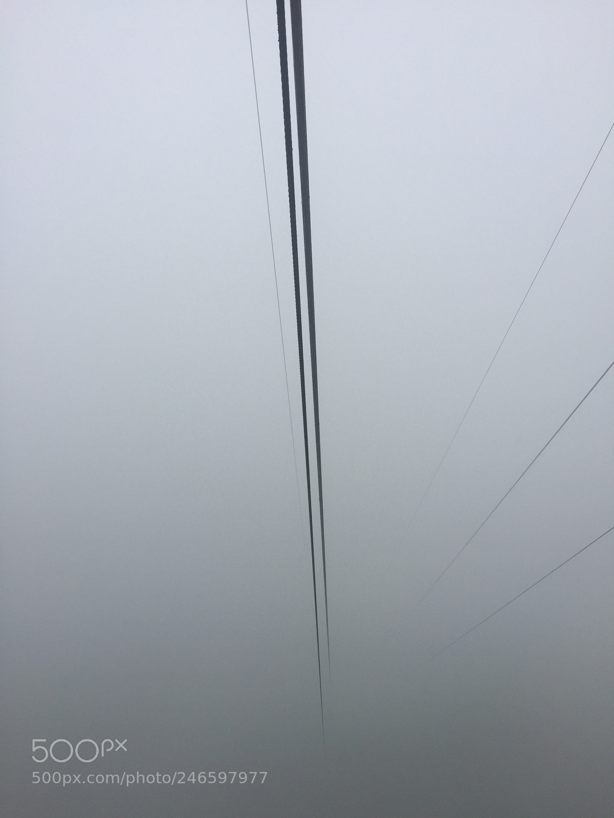 Apple iPhone 6 sample photo. A foggy day photography