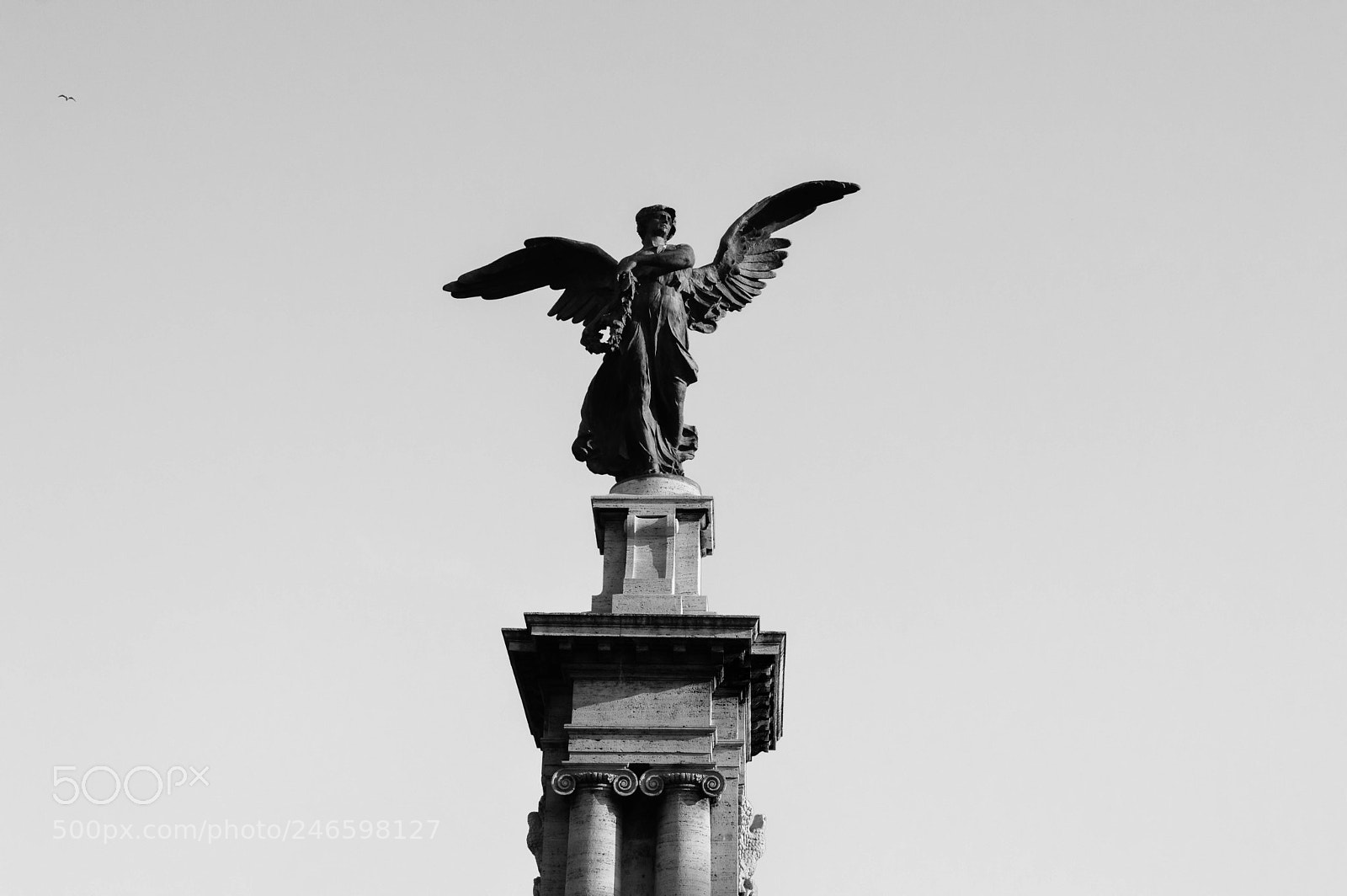 Nikon D3200 sample photo. Fallen angel photography