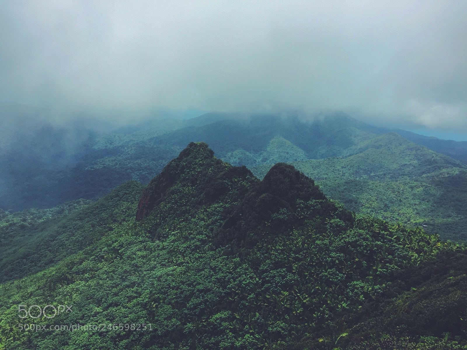 Apple iPhone 6 sample photo. El yunque #freshgreen photography