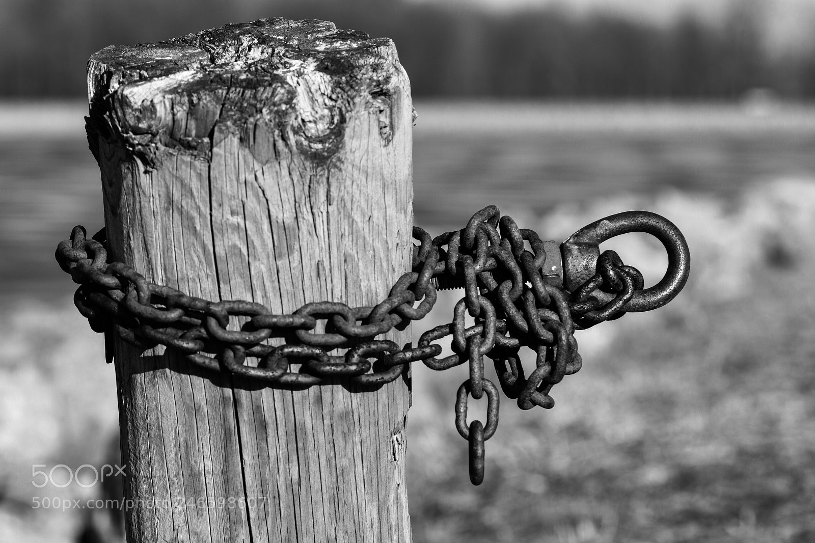 Nikon D3400 sample photo. Old chain photography