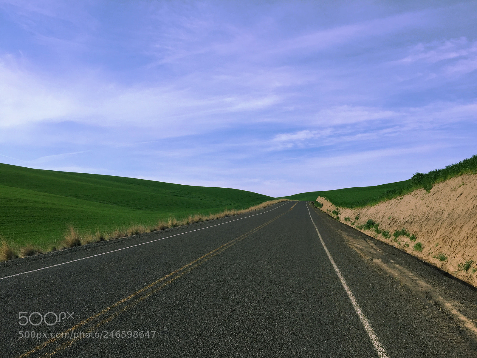 Apple iPhone 6 sample photo. Five mile hill photography