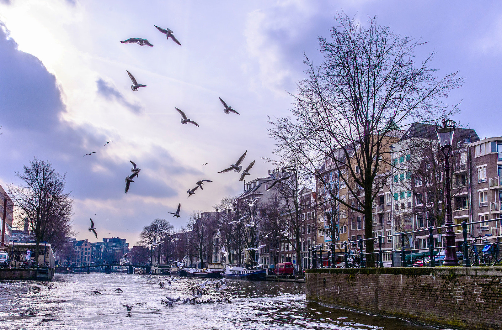 Nikon D800 sample photo. Amsterdam photography