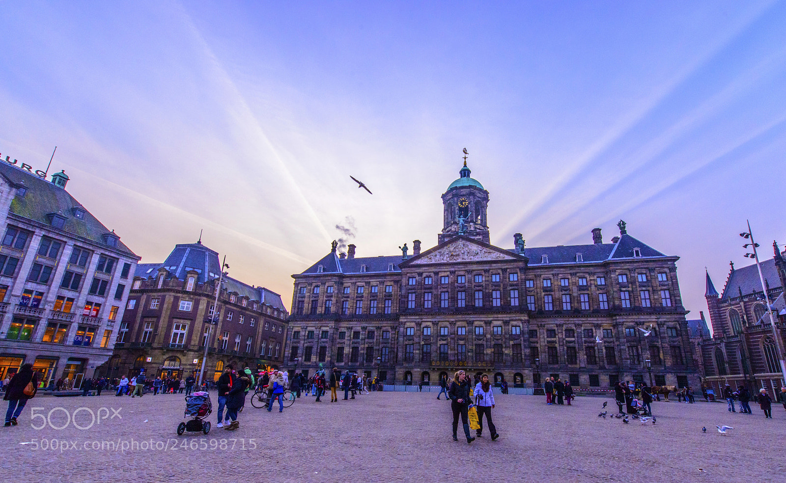 Nikon D800 sample photo. Amsterdam photography