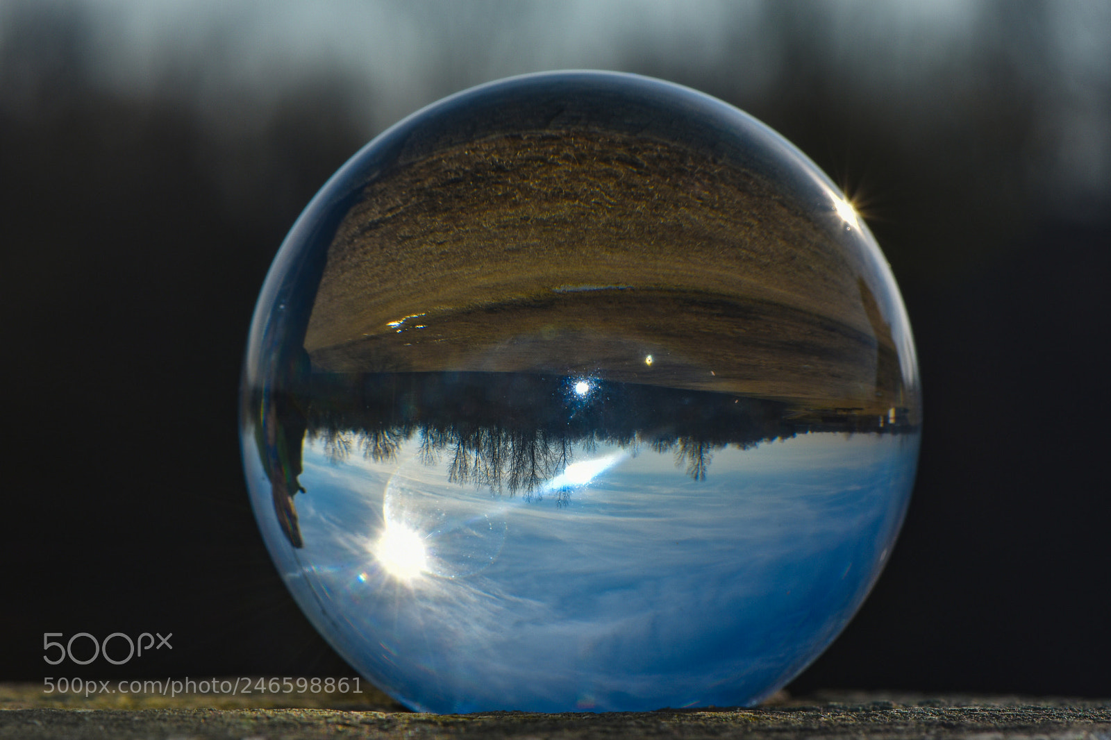 Nikon D3400 sample photo. Having a ball photography