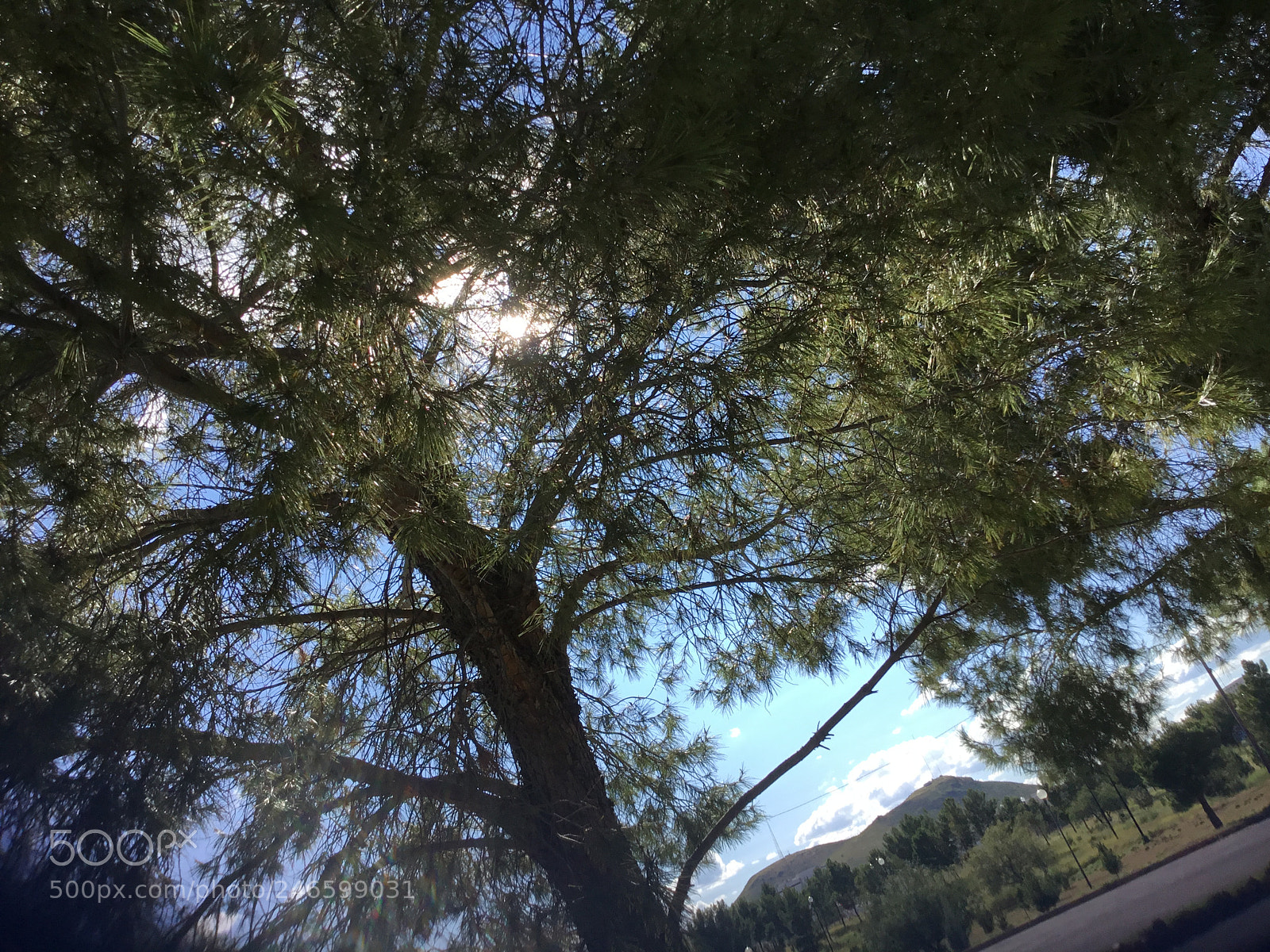 Apple iPad (5th generation) sample photo. Untitled photography