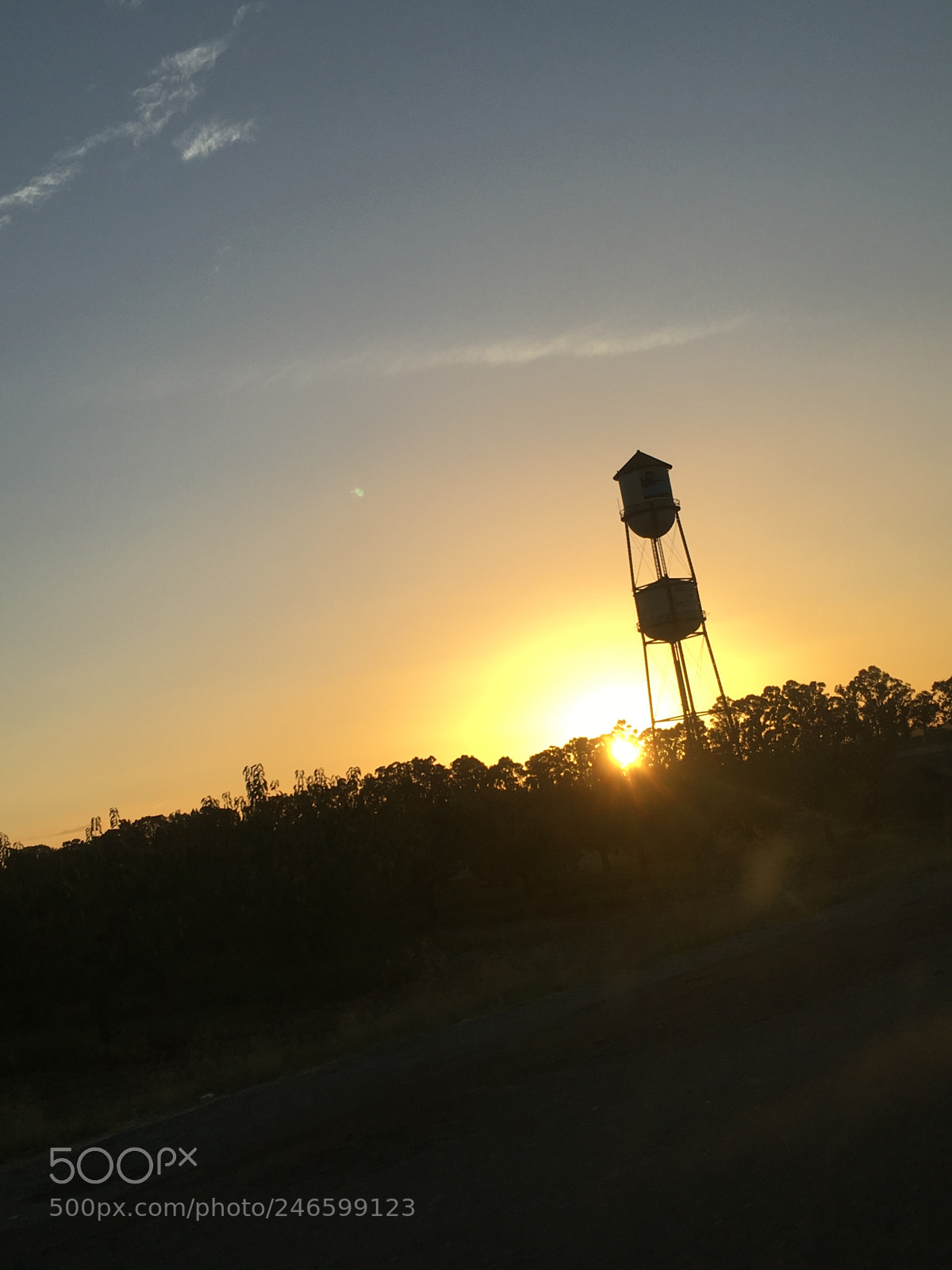 Apple iPhone 6s sample photo. Untitled photography
