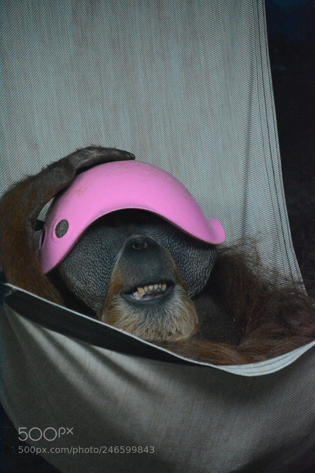Nikon D7100 sample photo. A new kind of photography