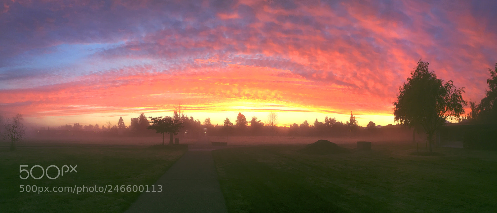 Apple iPhone 6 sample photo. Auburn photography