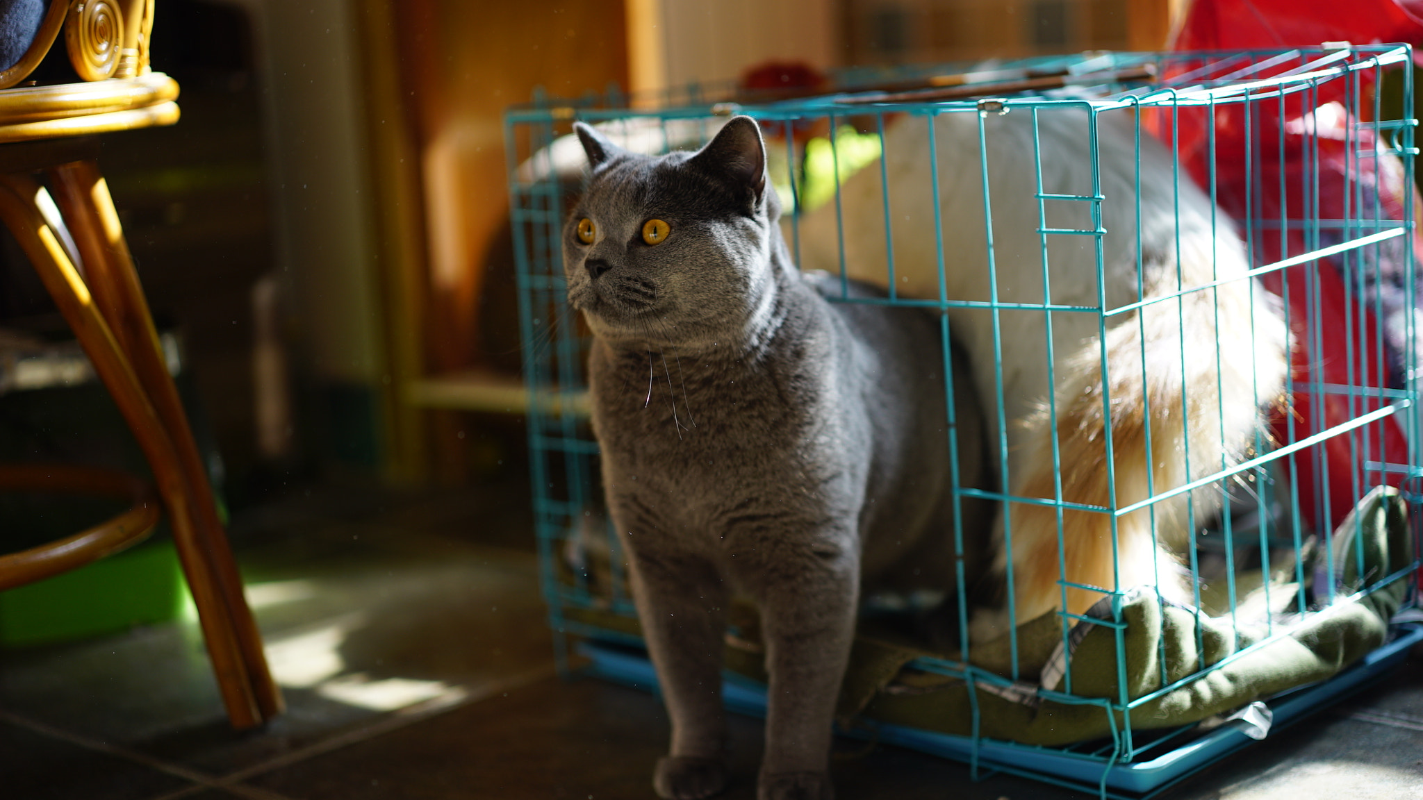 Sony a7S + Sony Sonnar T* FE 55mm F1.8 ZA sample photo