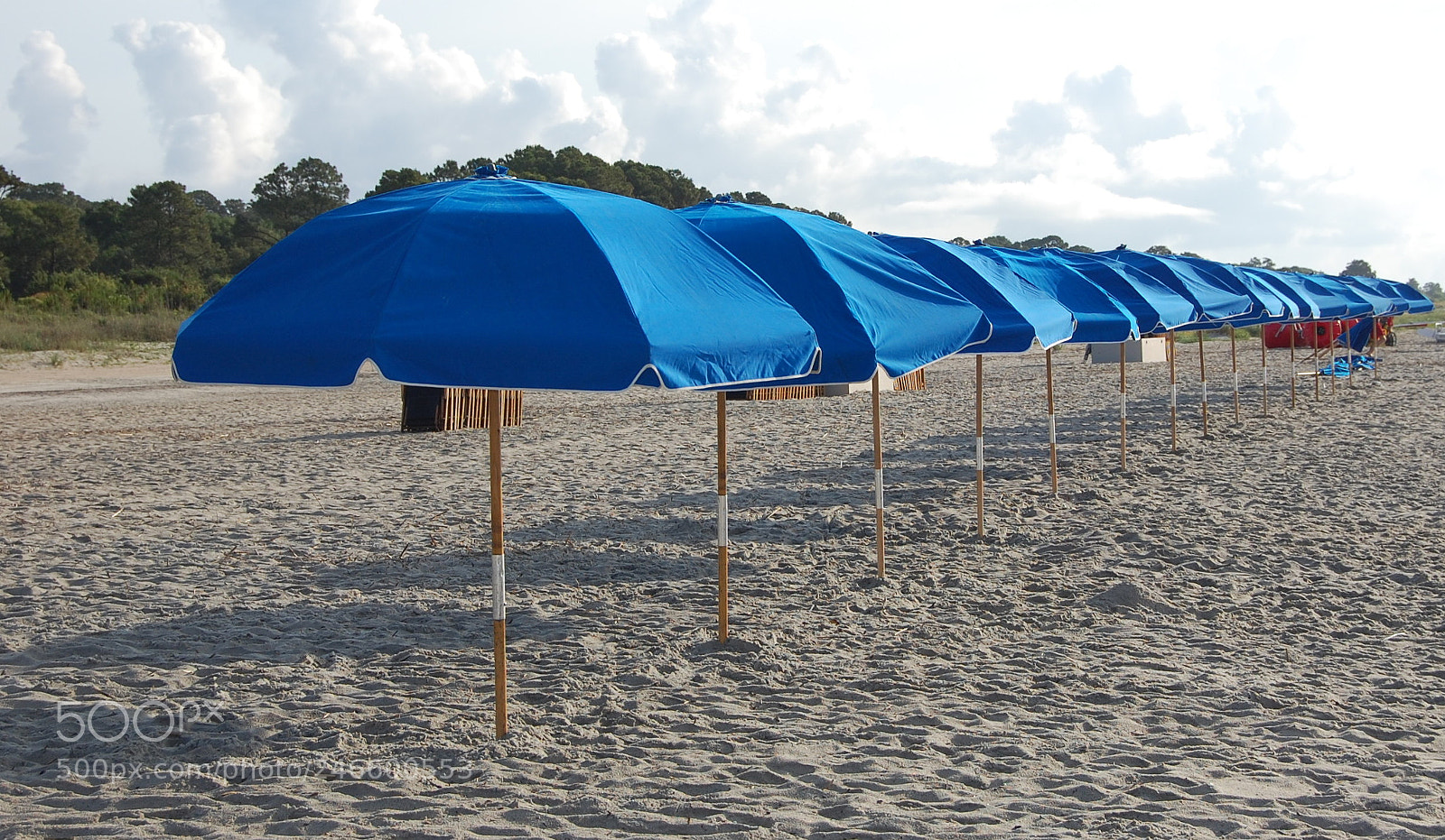 Nikon D40 sample photo. 2014 hilton head_1.jpg photography