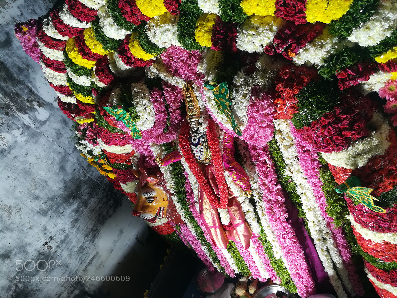 HUAWEI honor 6x sample photo. Untitled photography