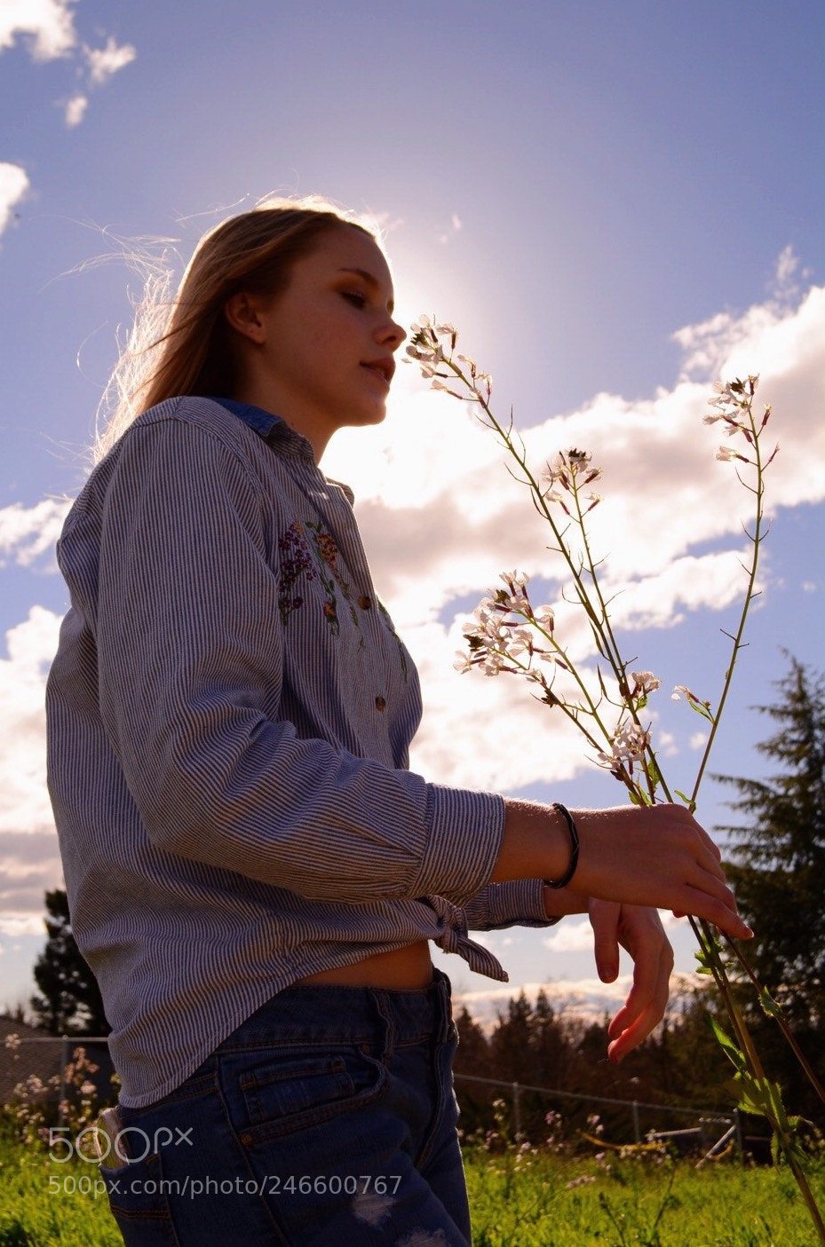 Nikon D5200 sample photo. Sunlight photography