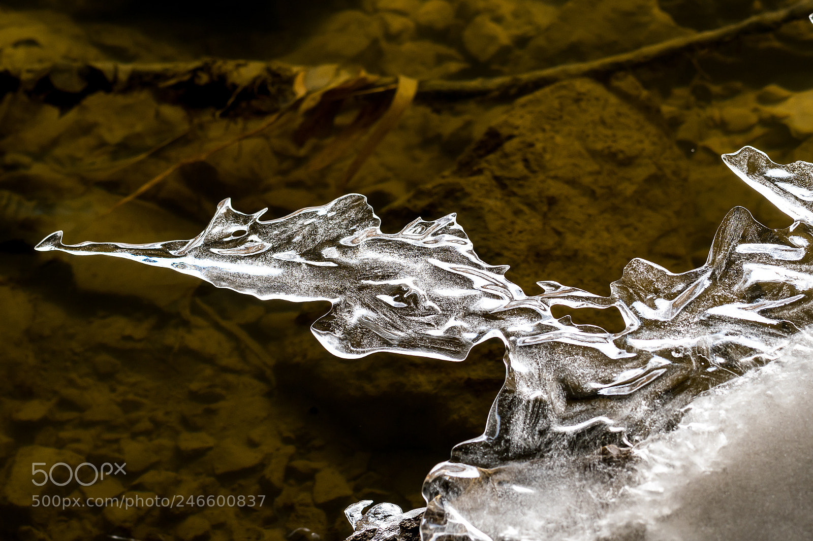 Nikon D500 sample photo. Ice photography