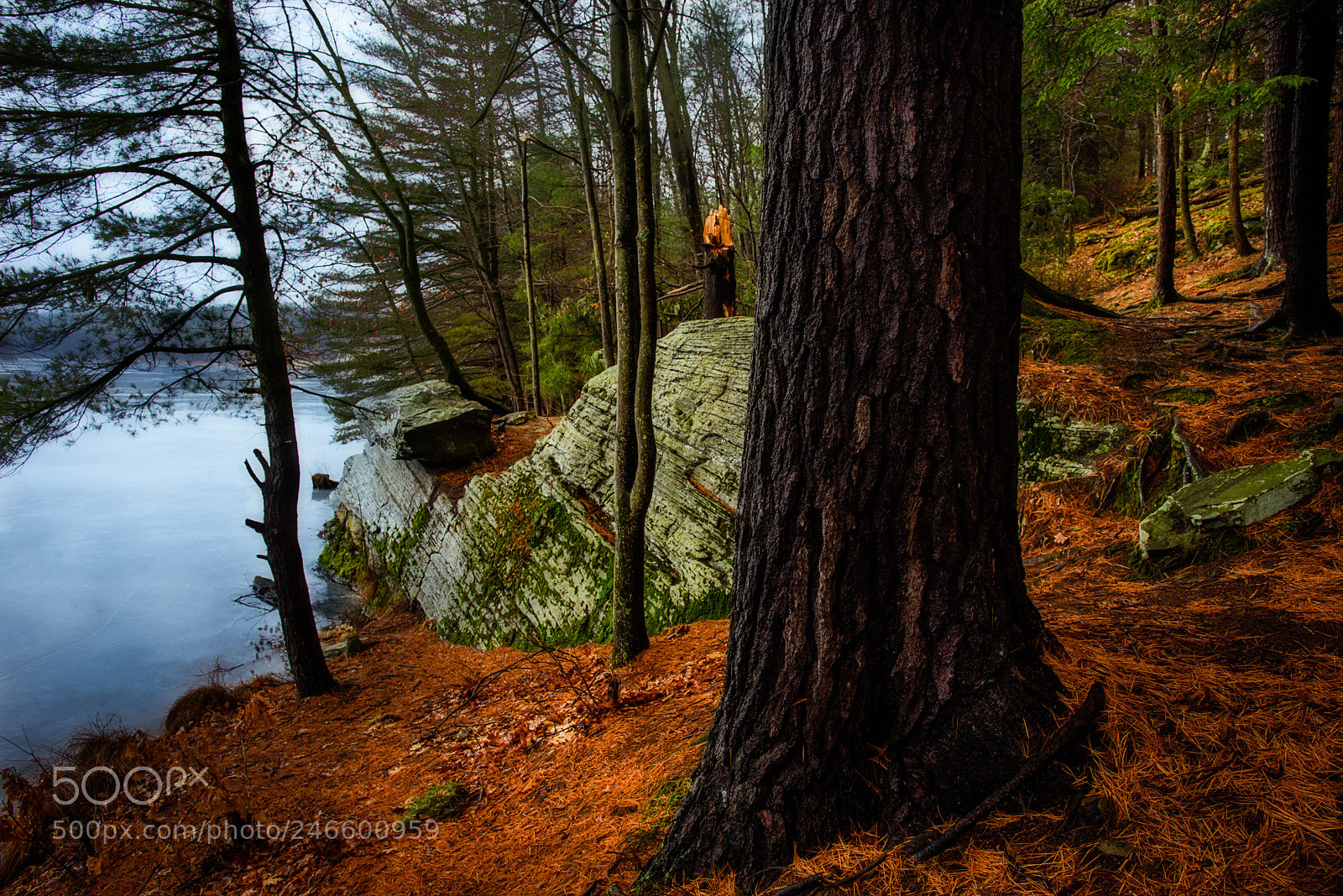 Nikon D810 sample photo. At the ice's edge photography