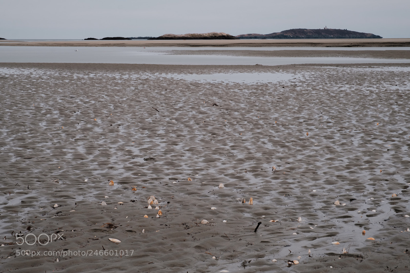 Fujifilm X-Pro2 sample photo. Popham beach photography