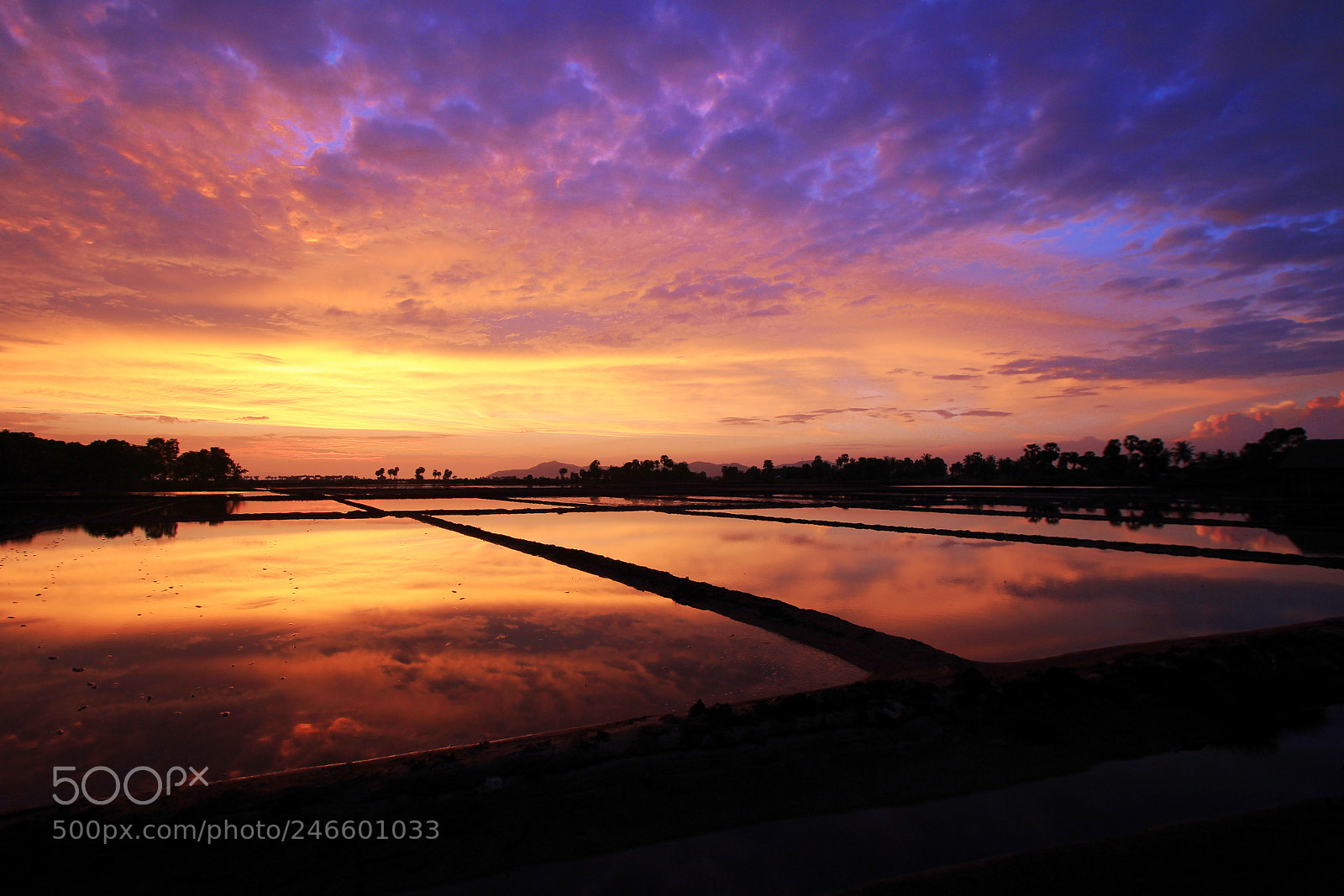 Canon EOS 600D (Rebel EOS T3i / EOS Kiss X5) sample photo. Salty sunset photography