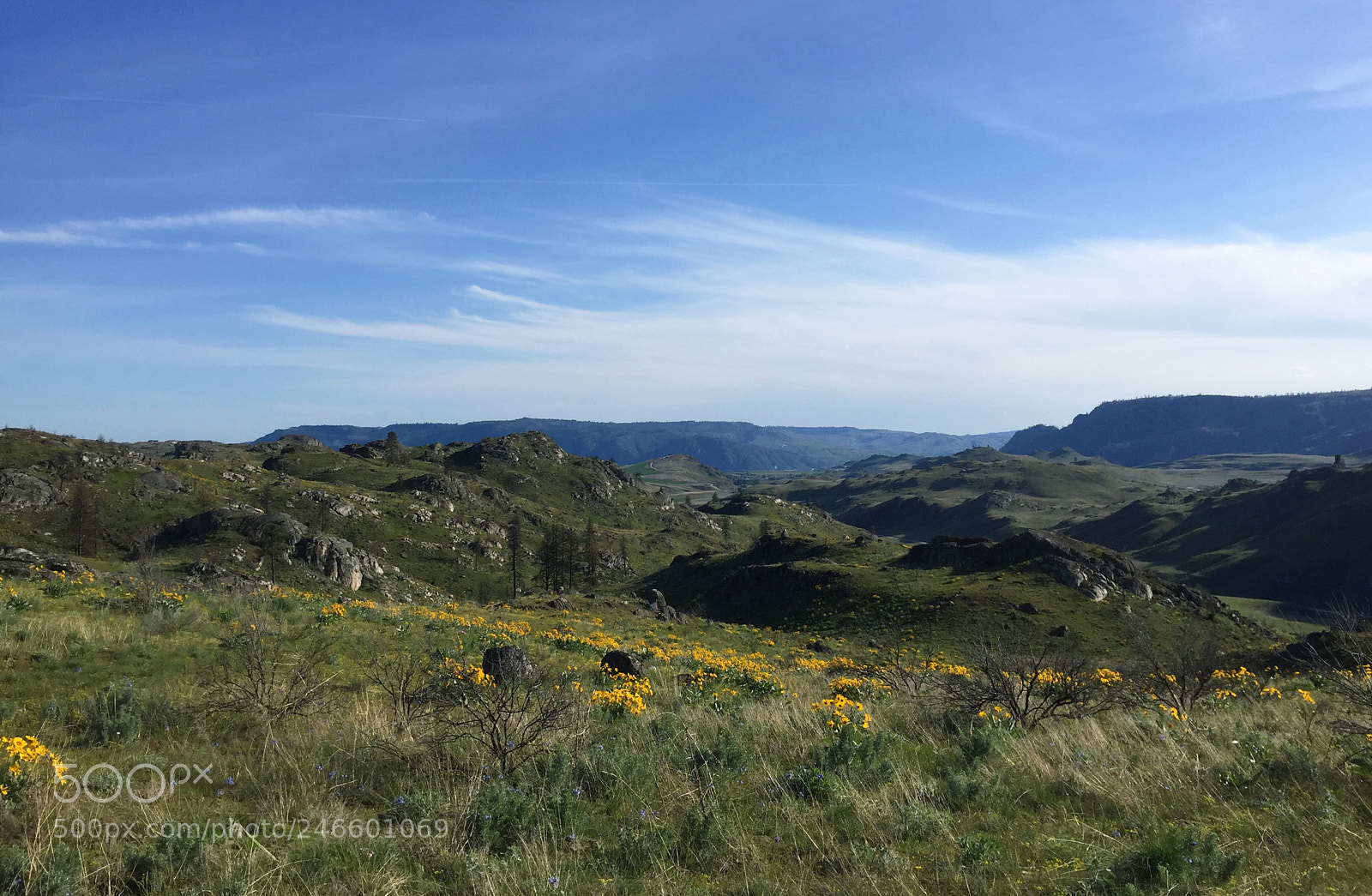 Apple iPhone 6 sample photo. Central washington hillcountry photography