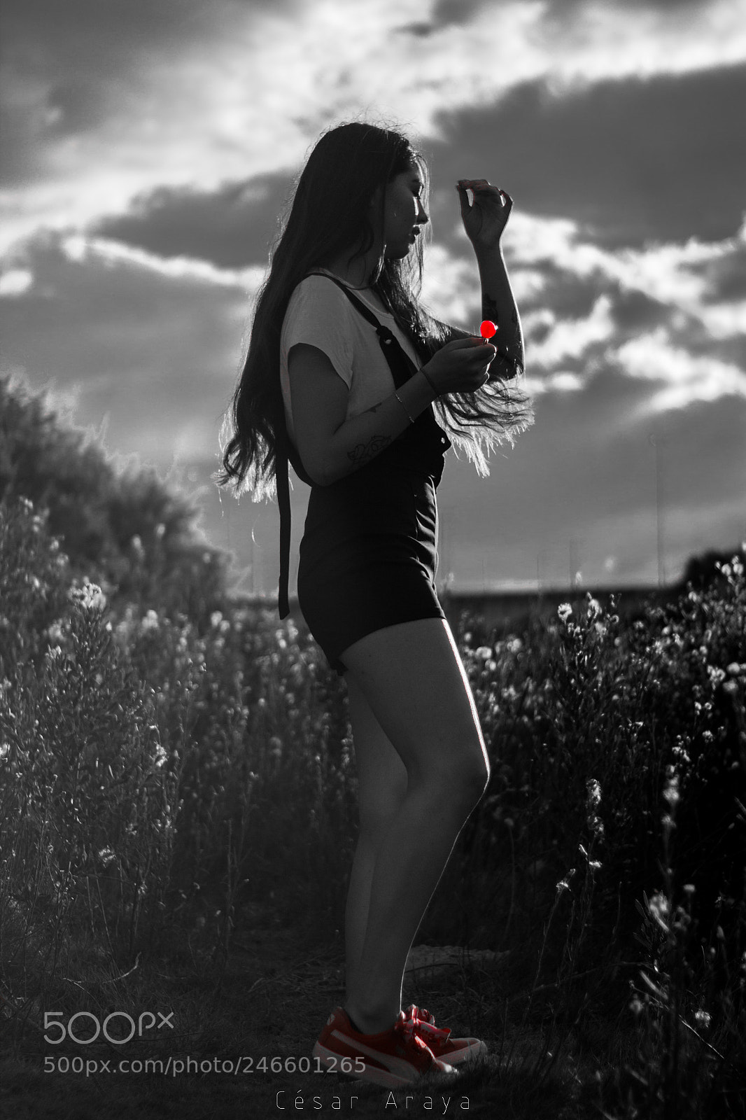 Canon EOS 1200D (EOS Rebel T5 / EOS Kiss X70 / EOS Hi) sample photo. Black, white and red photography