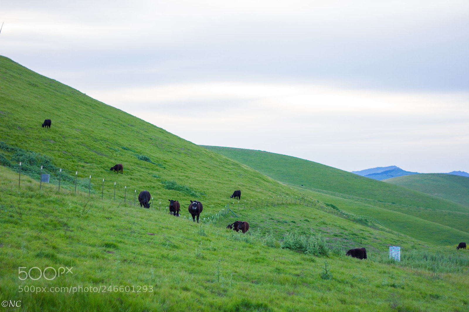 Canon EOS 7D sample photo. 40305385512.jpg photography