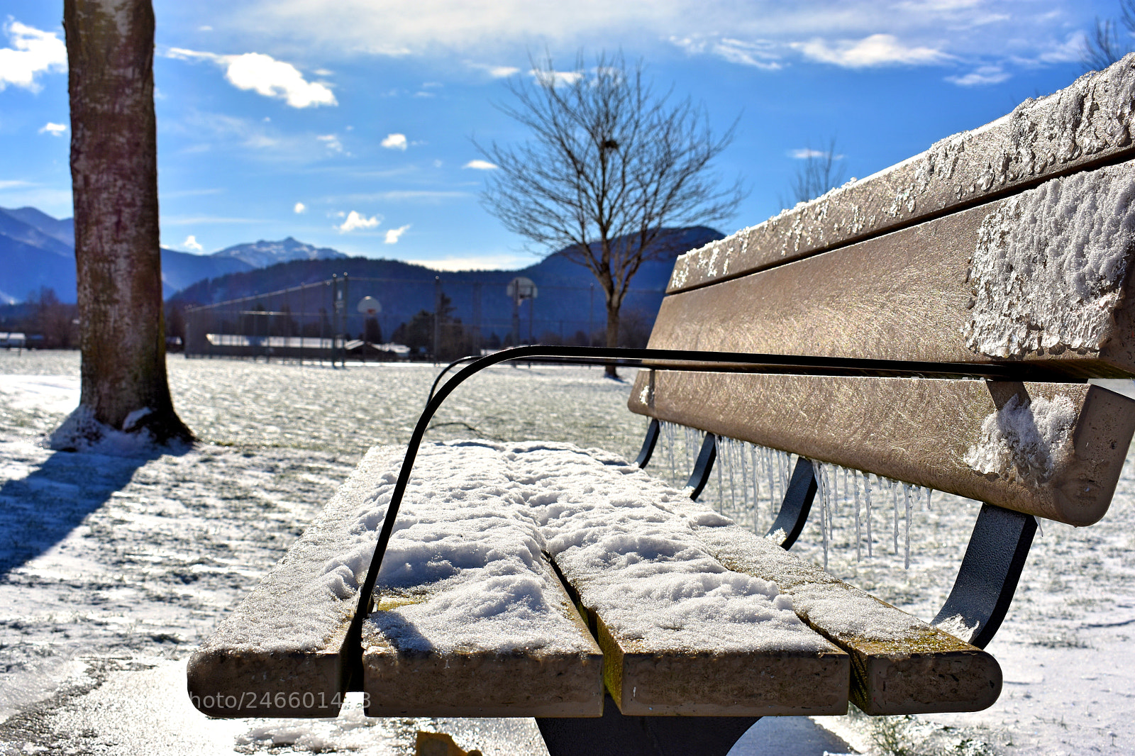 Nikon D3400 sample photo. Winter bench photography