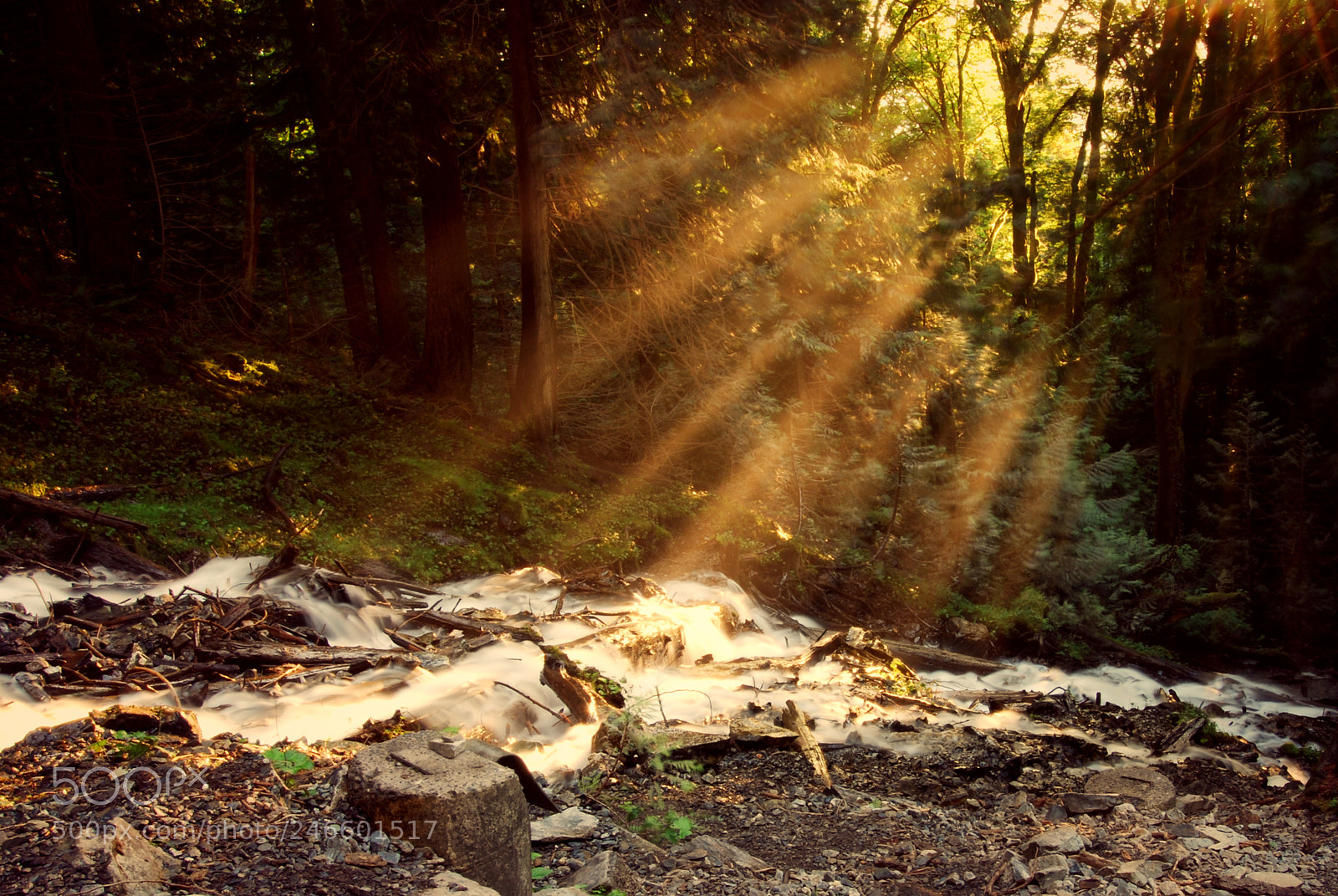 Nikon D60 sample photo. Sunbeam stream photography