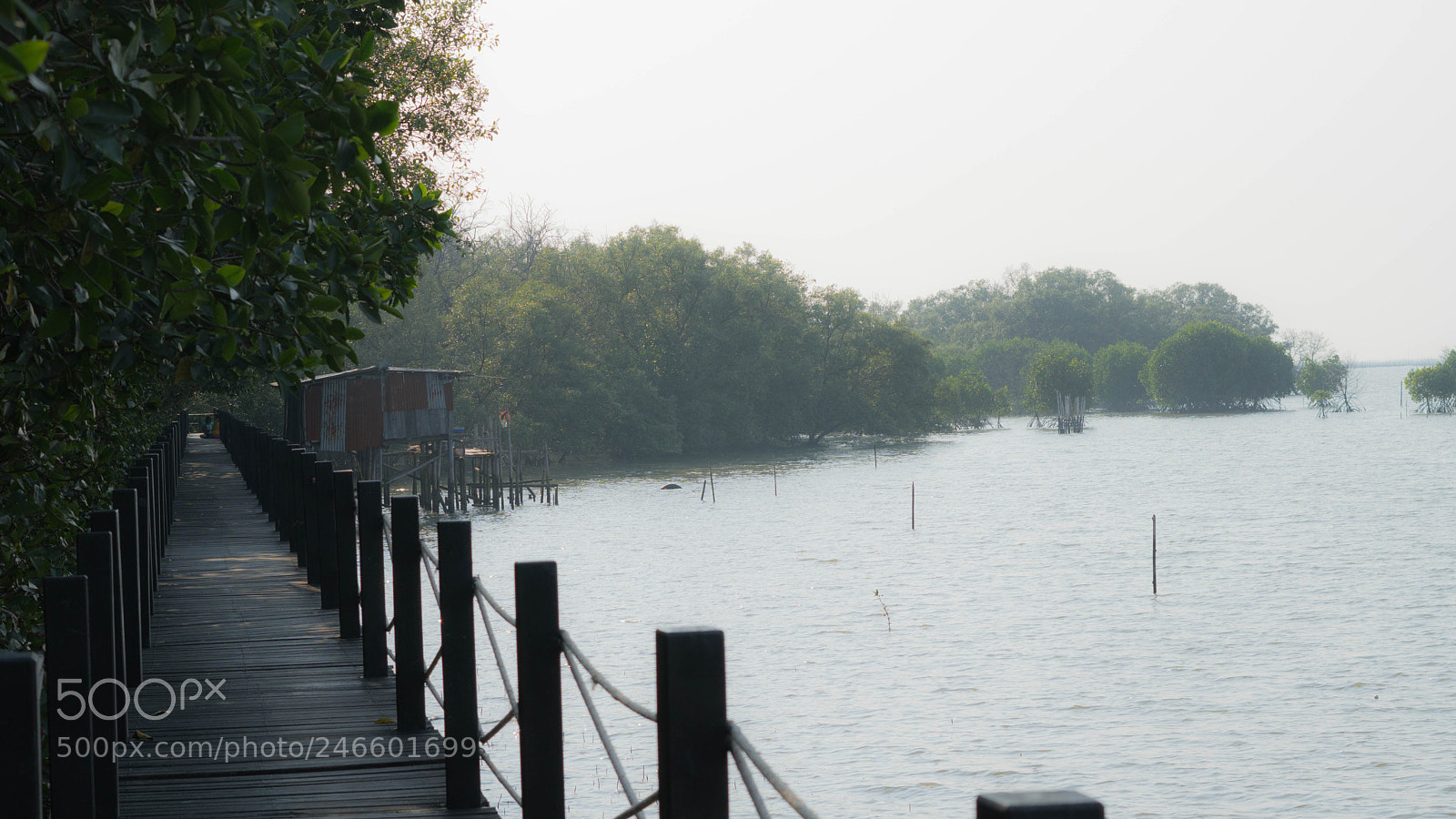 Sony a6300 sample photo. Dsc photography