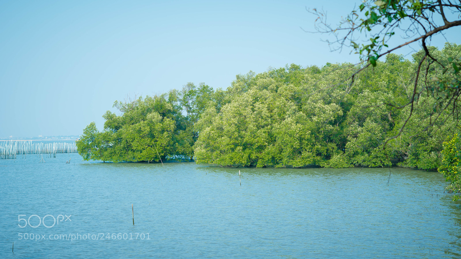 Sony a6300 sample photo. Dsc photography